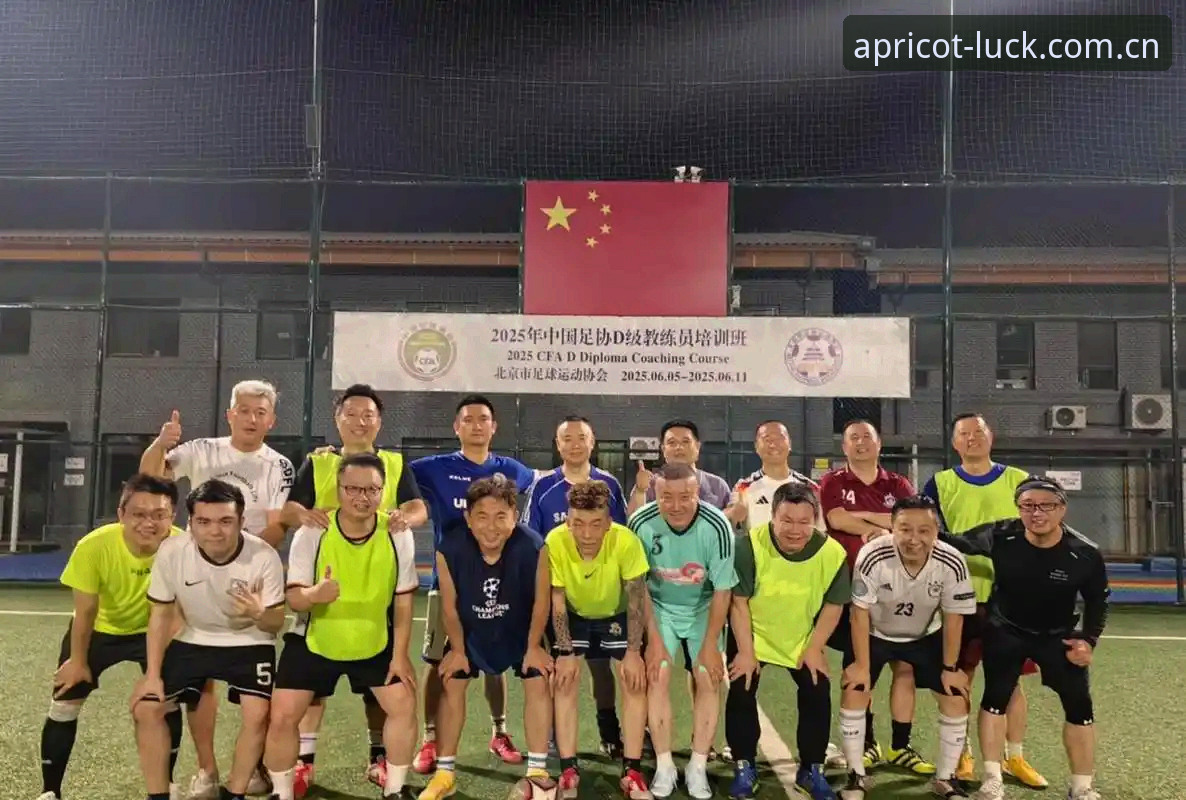 中国足协第三批禁足名单详解